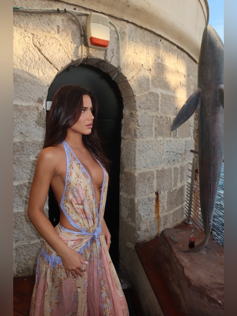Zimmerman Dress - Picture 3 of 5